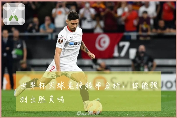 世界杯买球竞猜赔率分析，你能预测出胜负吗