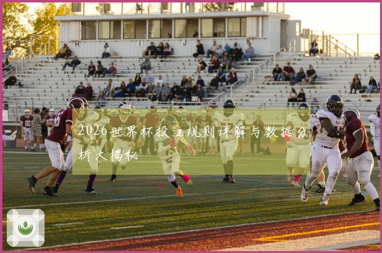 2026世界杯投注规则详解与数据分析大揭秘