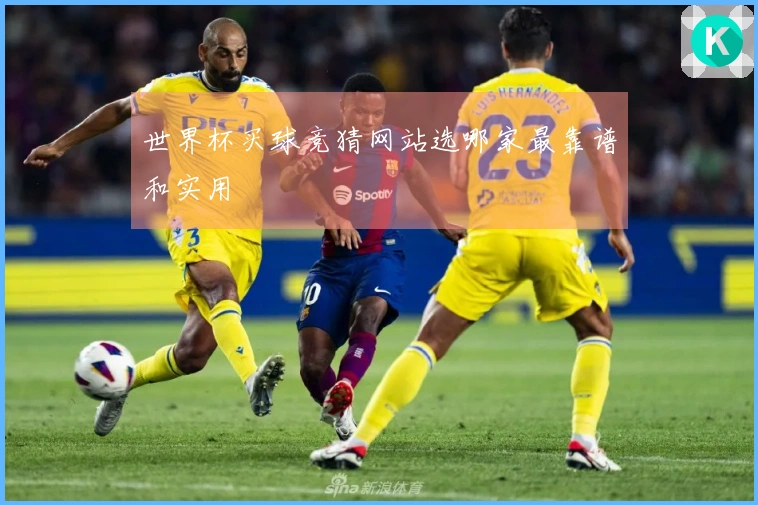 世界杯买球竞猜网站选哪家最靠谱和实用