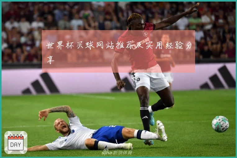 世界杯买球网站推荐及实用经验分享