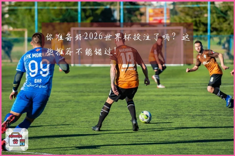 你准备好2026世界杯投注了吗？这些推荐不能错过！
