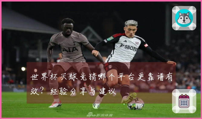 世界杯买球竞猜哪个平台更靠谱有效？经验分享与建议