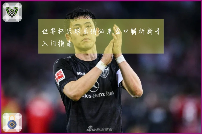 世界杯买球竞猜必看盘口解析新手入门指南