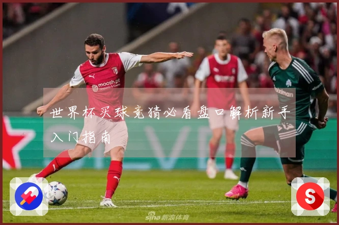 世界杯买球竞猜必看盘口解析新手入门指南