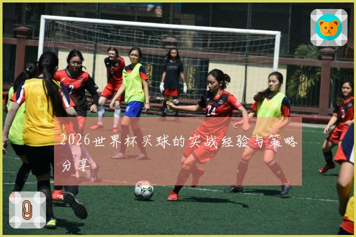 2026世界杯买球的实战经验与策略分享