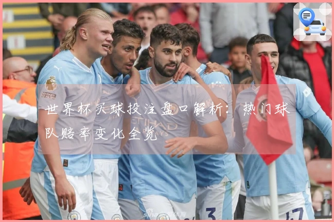世界杯买球投注盘口解析：热门球队赔率变化全览