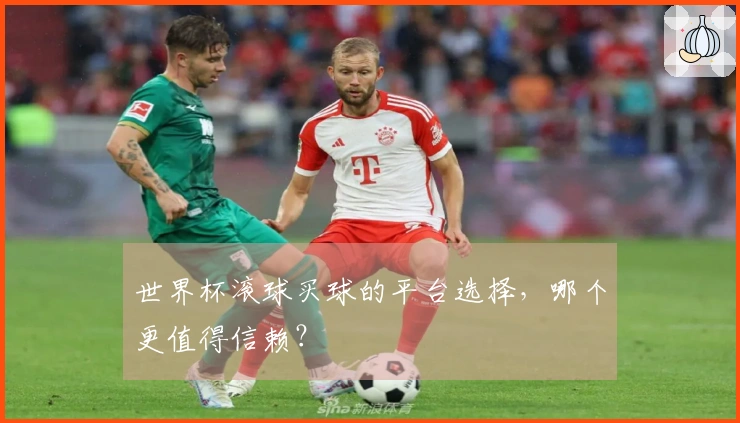 世界杯滚球买球的平台选择，哪个更值得信赖？