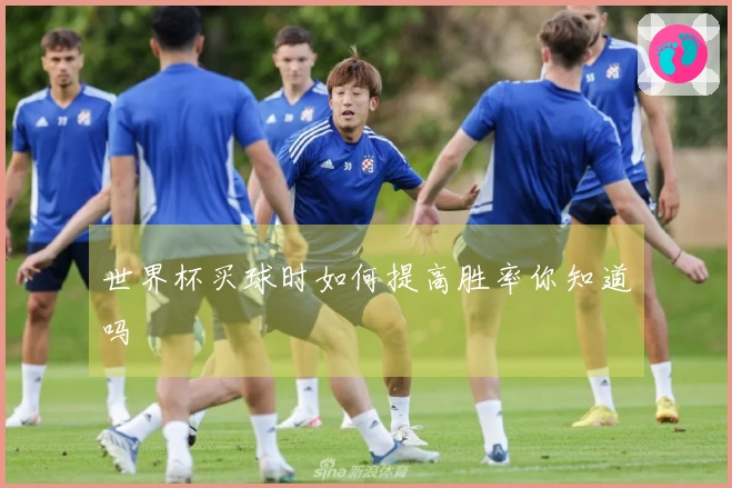 世界杯买球时如何提高胜率你知道吗