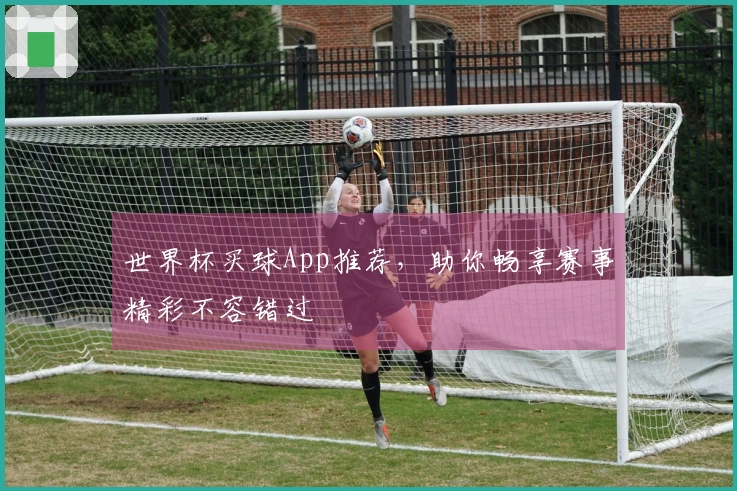 世界杯买球App推荐，助你畅享赛事精彩不容错过