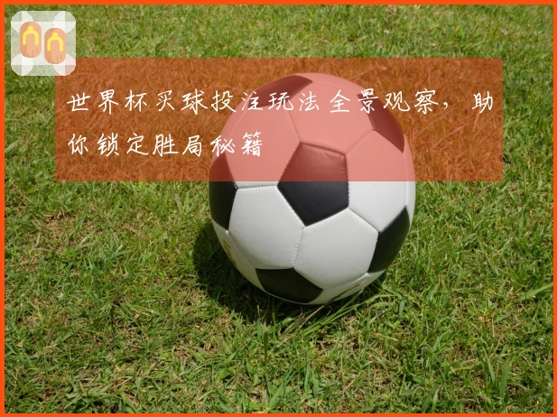 世界杯买球投注玩法全景观察，助你锁定胜局秘籍