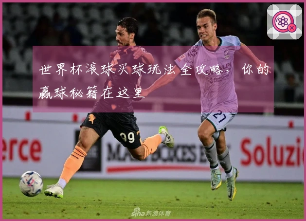 世界杯滚球买球玩法全攻略，你的赢球秘籍在这里