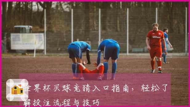 世界杯买球竞猜入口指南，轻松了解投注流程与技巧