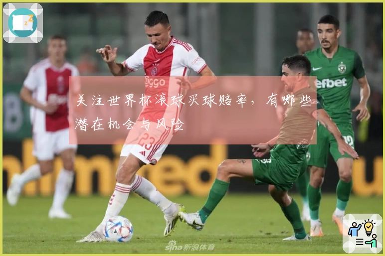 关注世界杯滚球买球赔率，有哪些潜在机会与风险