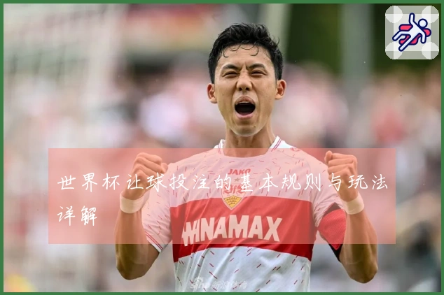 世界杯让球投注的基本规则与玩法详解