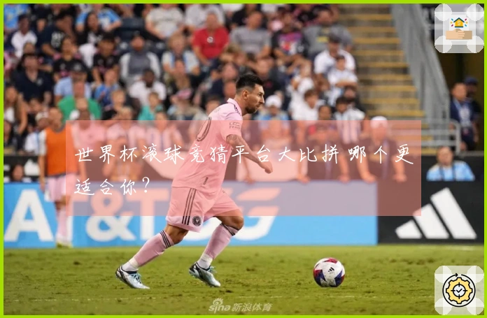 世界杯滚球竞猜平台大比拼 哪个更适合你？