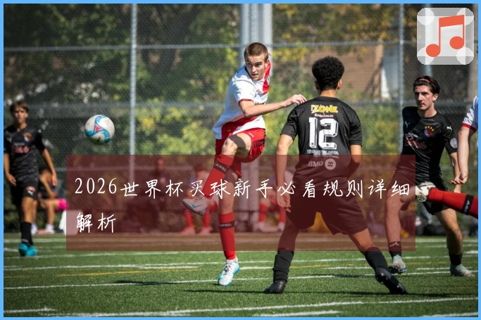 2026世界杯买球新手必看规则详细解析