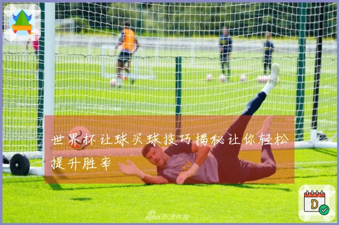 世界杯让球买球技巧揭秘让你轻松提升胜率